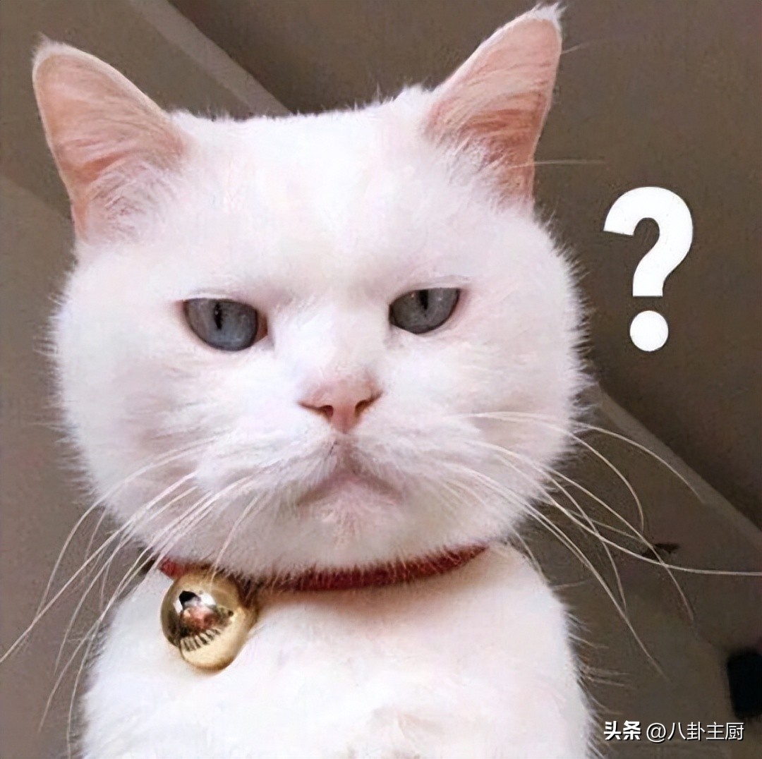 好欢螺输台包装写“你是中国人”，“*独台**”政客心态炸了