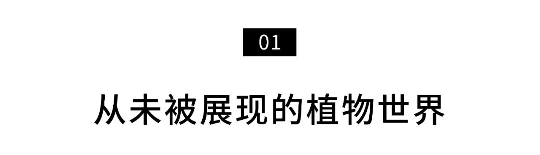 96岁还在奔波工作，这老爷子做出了今年9.8分神片