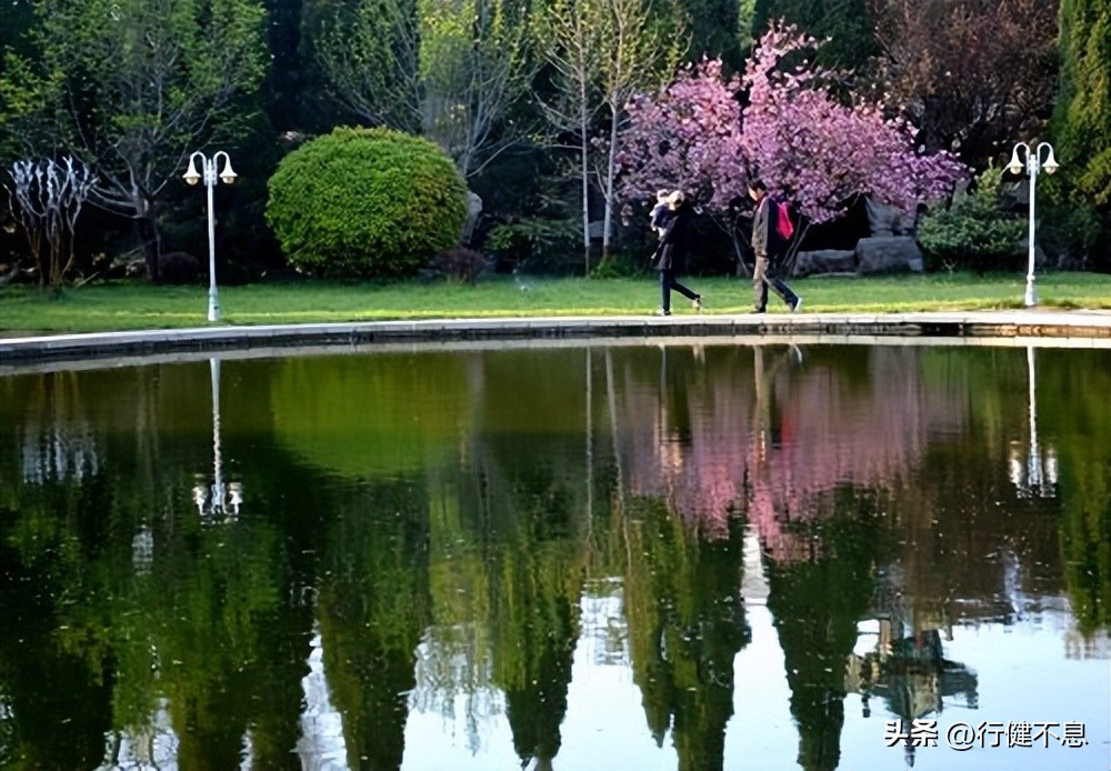 朝辞白帝彩云间完整诗句,十首经典春日诗词