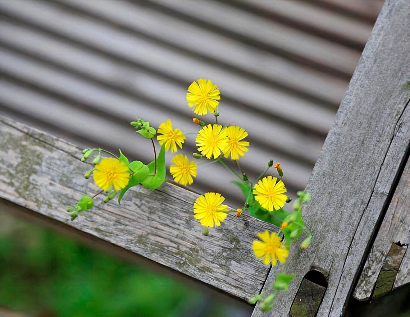 如果亲情让你觉得你很痛苦怎么办,如果亲情伤害了你请学会狠心