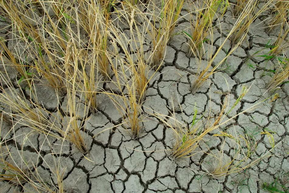 控油面膜功效与作用,艾灰面膜作用和功效