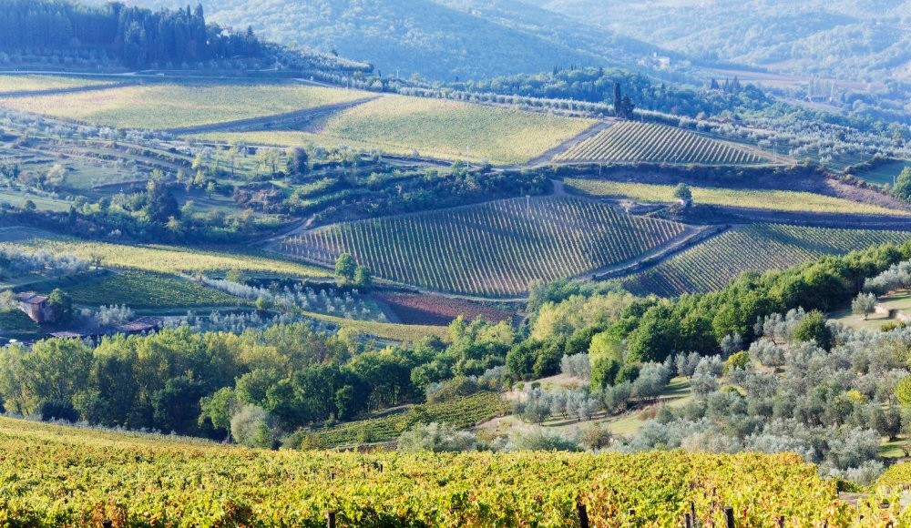 西班牙产出优质的橄榄的地理条件,橄榄种植历史