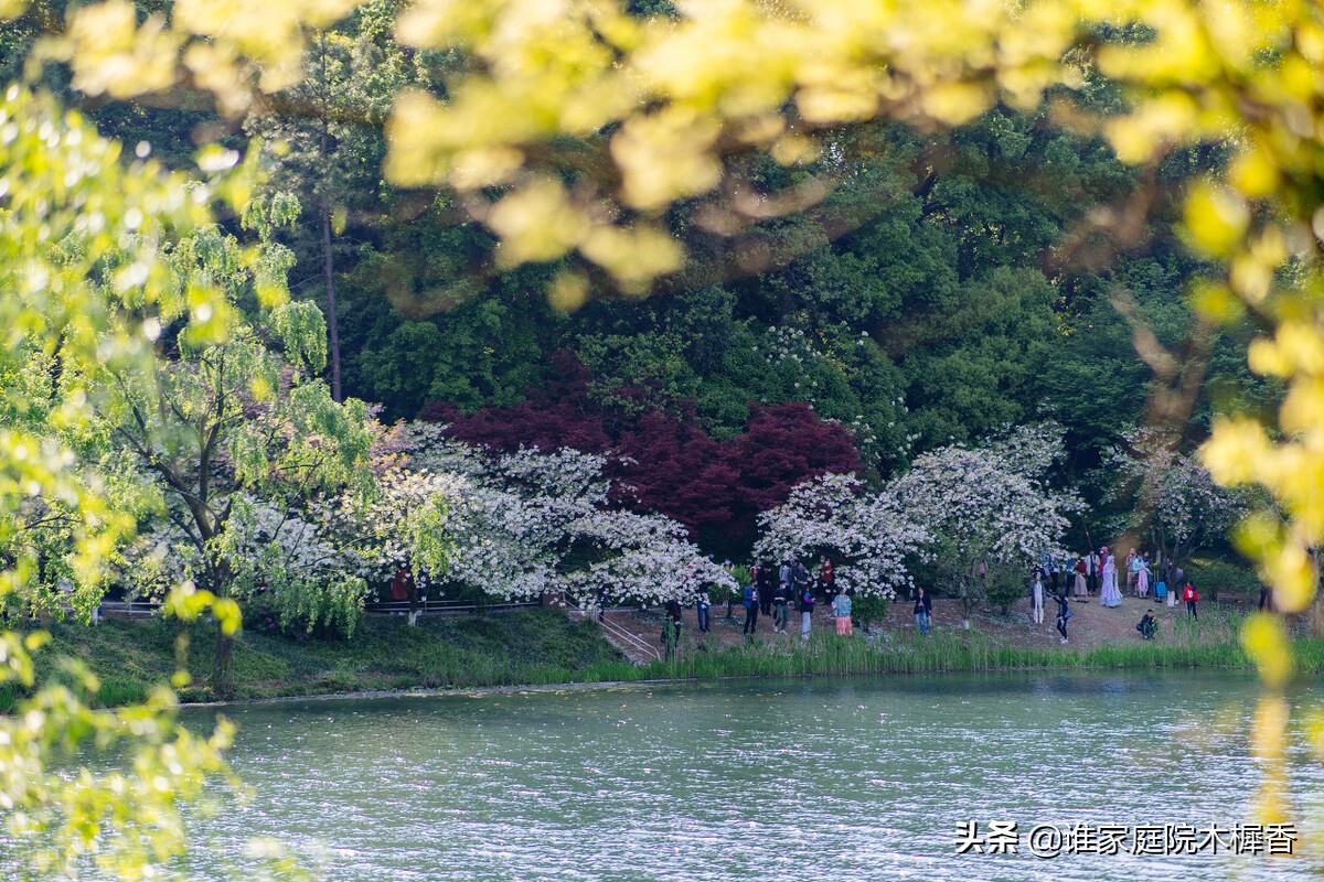 题临安邸林升是写给谁的,林升写的诗悲伤