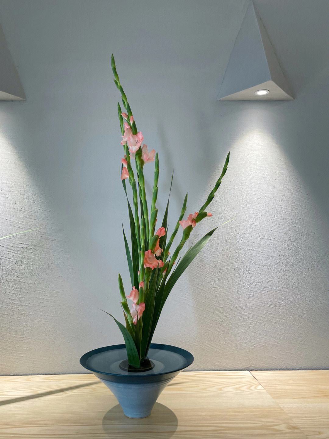 “切花之魁”，不要花大价钱去买了，自己种真的很方便