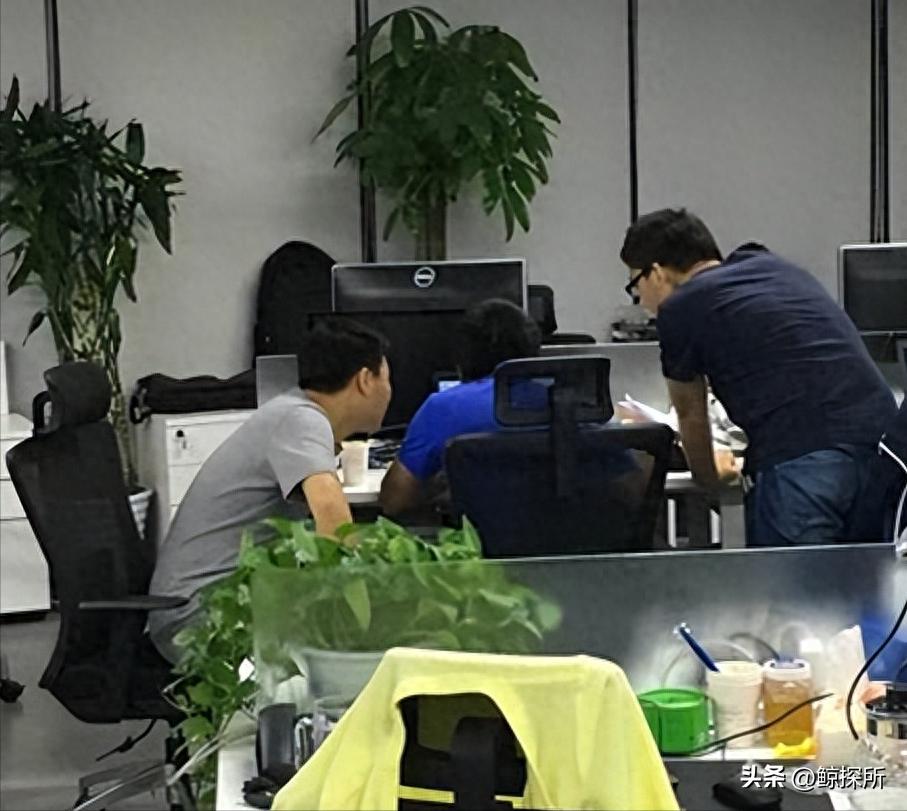 贾跃亭的传奇故事,贾跃亭起底