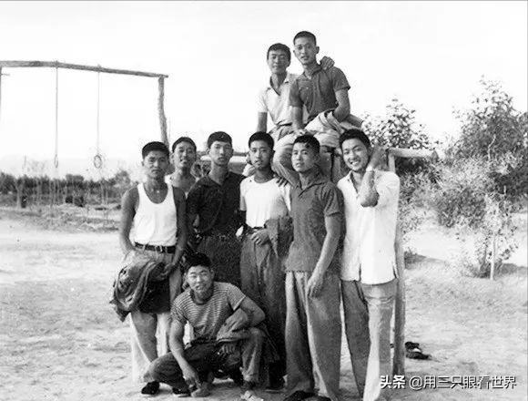 知青青年悲惨经历,知青的生活留下点点滴滴美好回忆