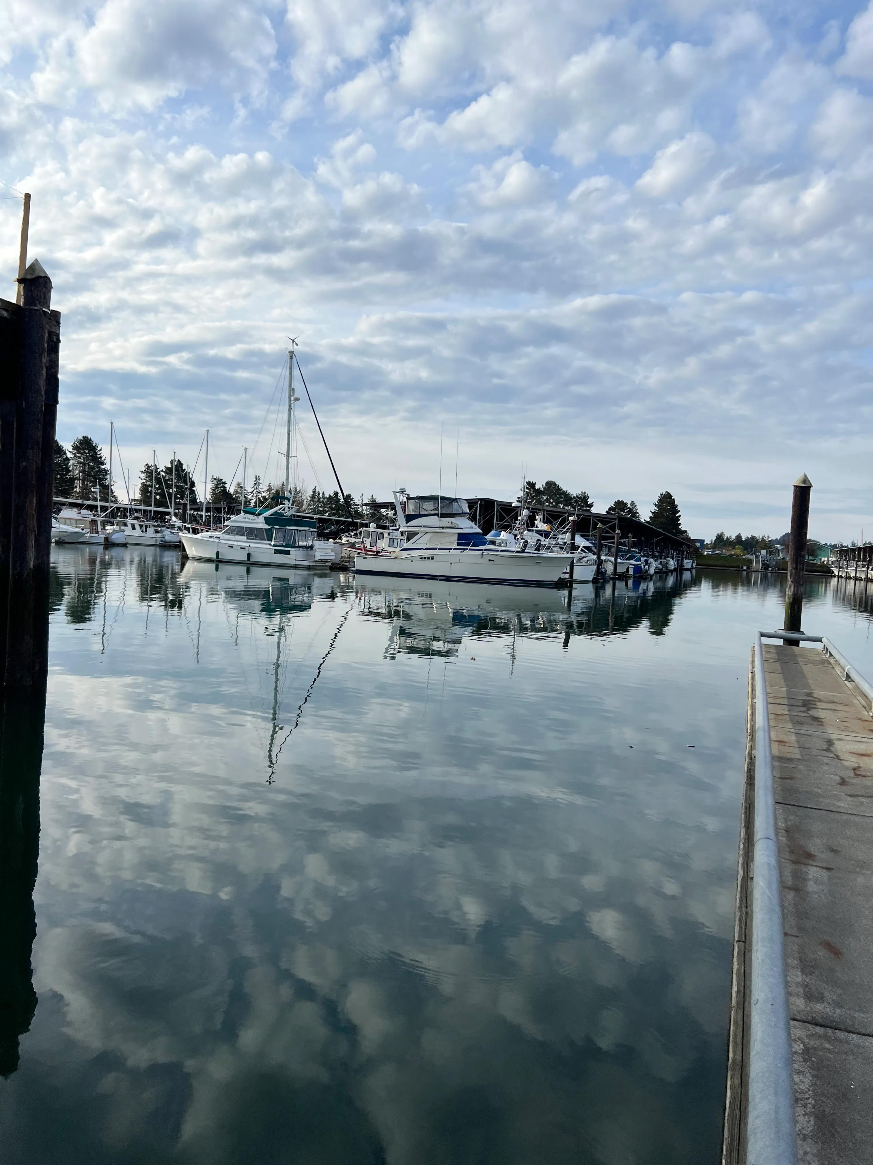 美国签证evus填写攻略,美国签证evus填写内容