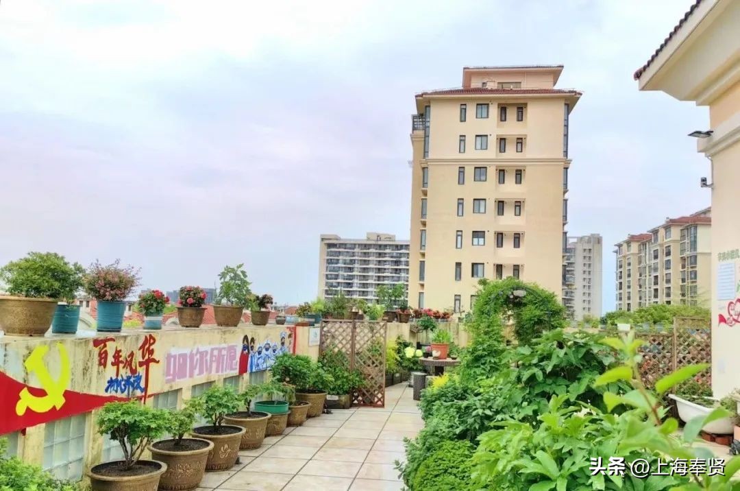 春归入夏，在萱草花盛开的日子里，致敬最美的妈妈！