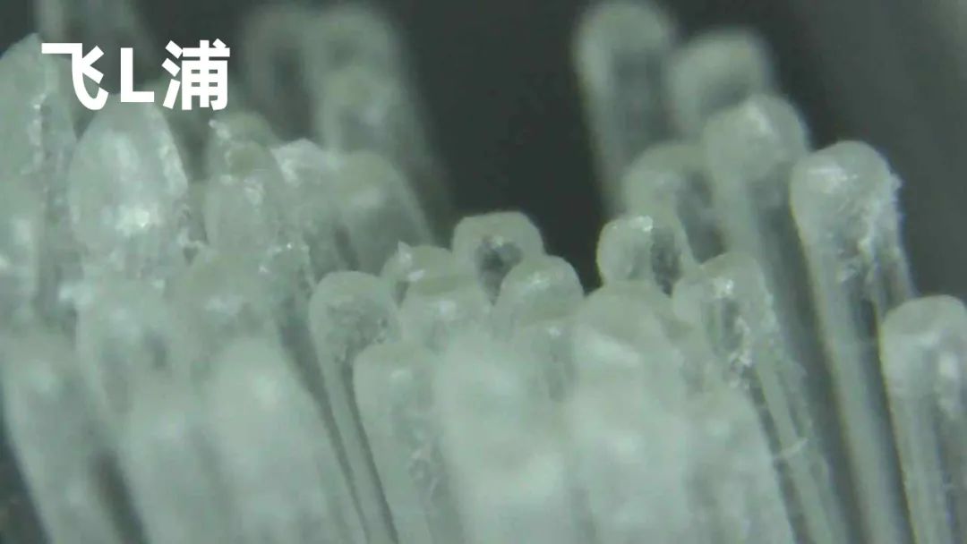 儿童声波全自动电动牙刷测评,显微镜下看牙刷