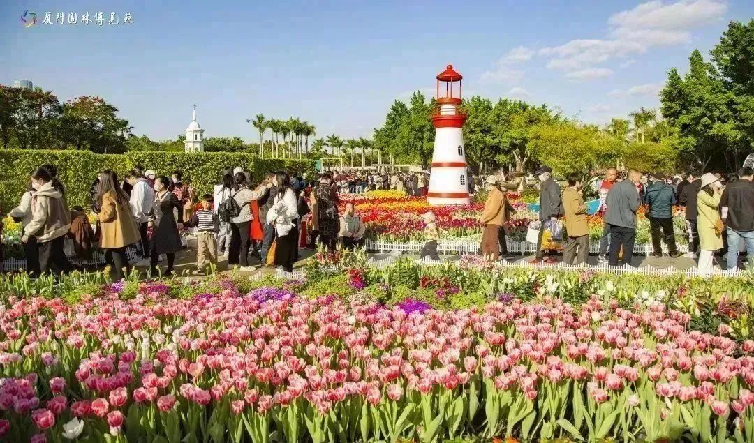 厦门春节人气,厦门过春节