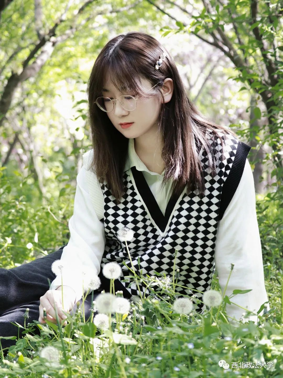 西法大到底是什么,西法大是什么意思网络用语