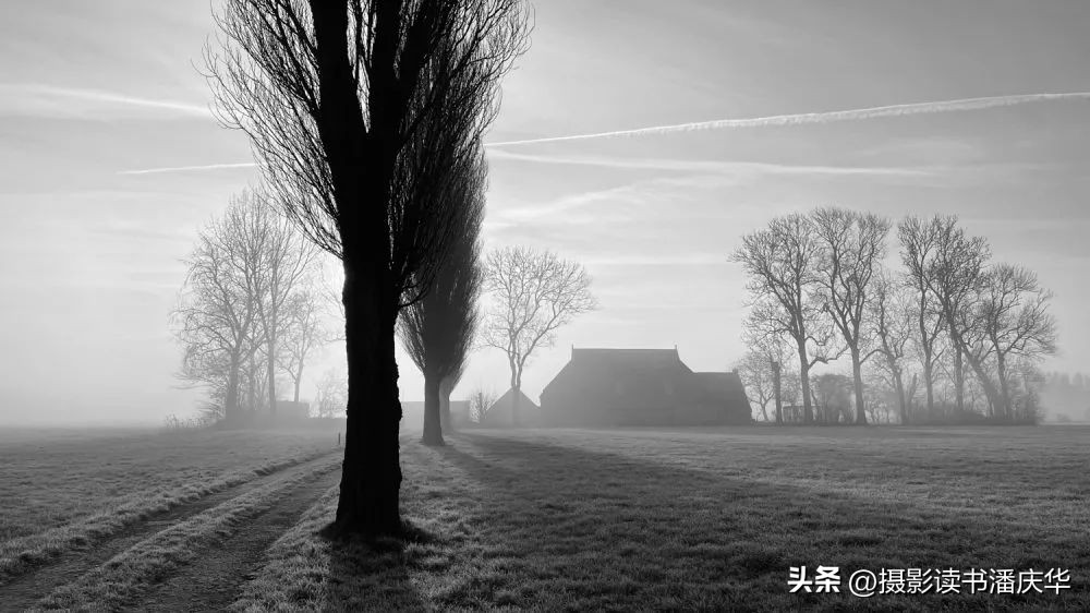 2020ippa摄影大赛获奖作品,ippa手机摄影大赛金奖