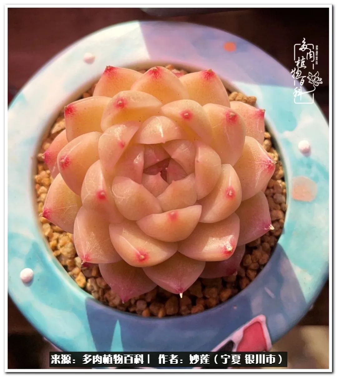 世间繁华三千不如一隅清欢,世间繁华三千不如有一院清欢