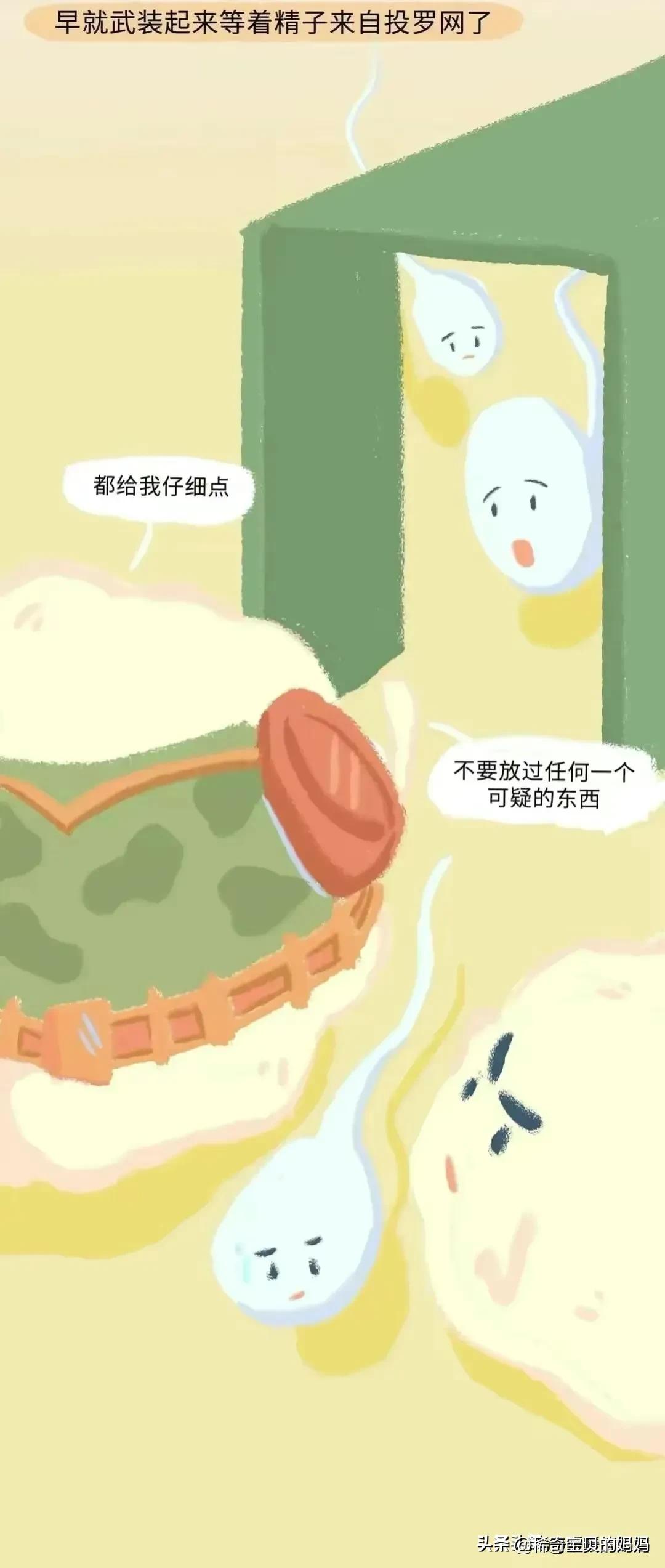 绮惧瓙杩涘叆浜轰綋12灏忔椂鍙樺寲,绮惧瓙杩涘叆浜轰綋24灏忔椂鍙樺寲