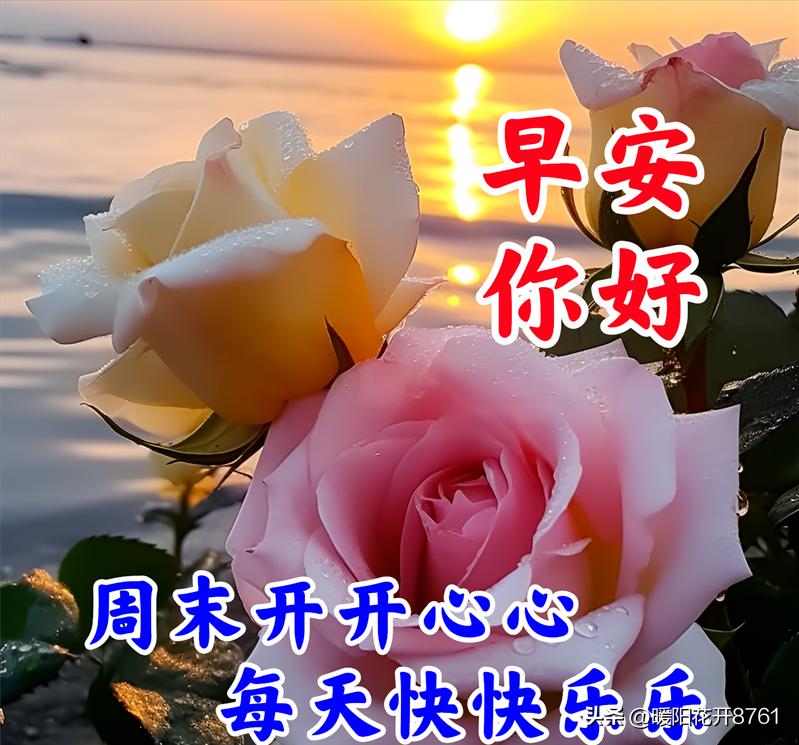 早安周末愉快问候语正能量,周末愉快早安问候语一句话