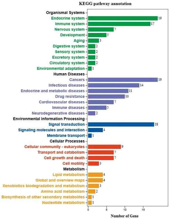 唐古红景天干预肺动脉高压作用机制的网络药理学研究