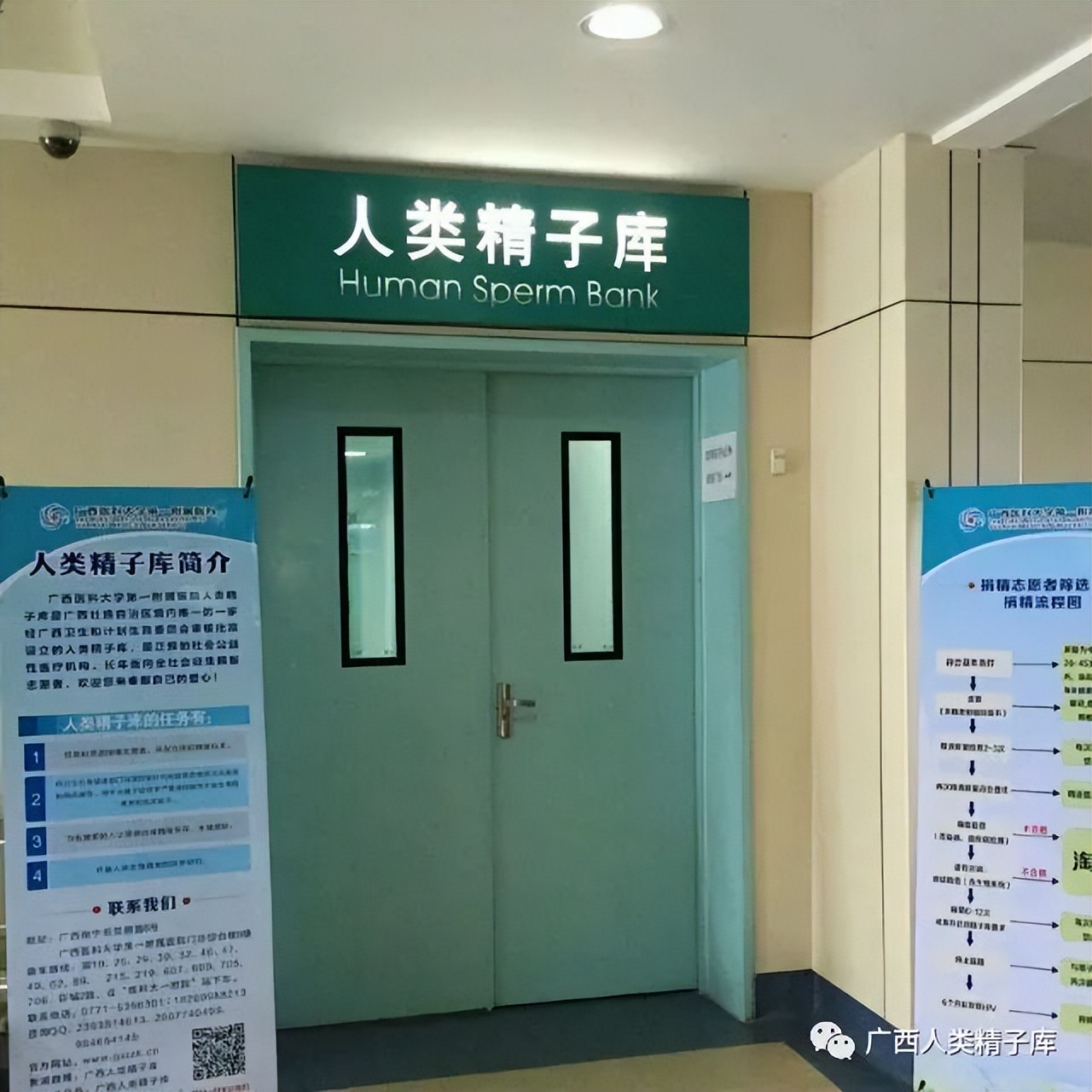 “一次，4500元！”全国各地求捐精，给谁用？真不会乱套吗？