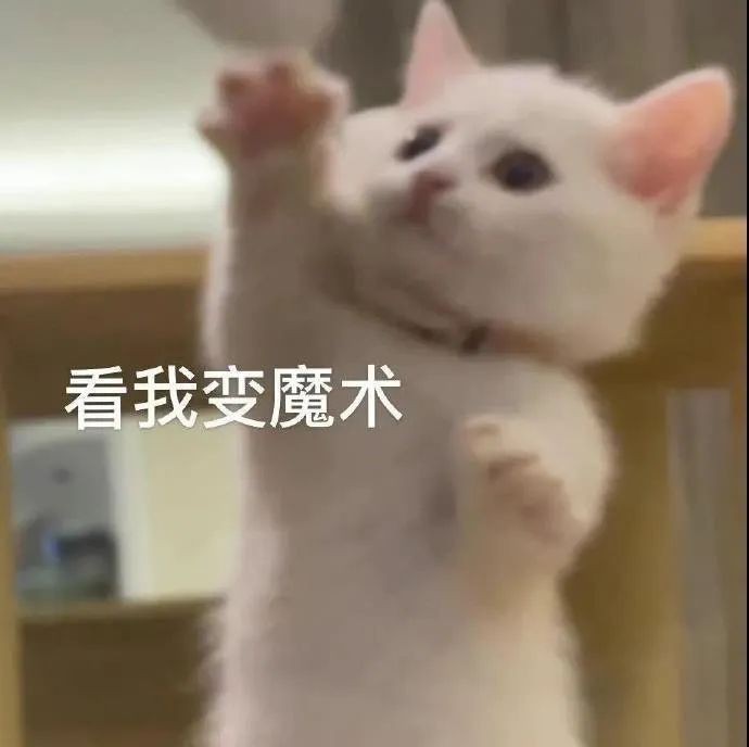 我要打游戏了等一会再聊表情包,不要打扰老子打游戏的表情包