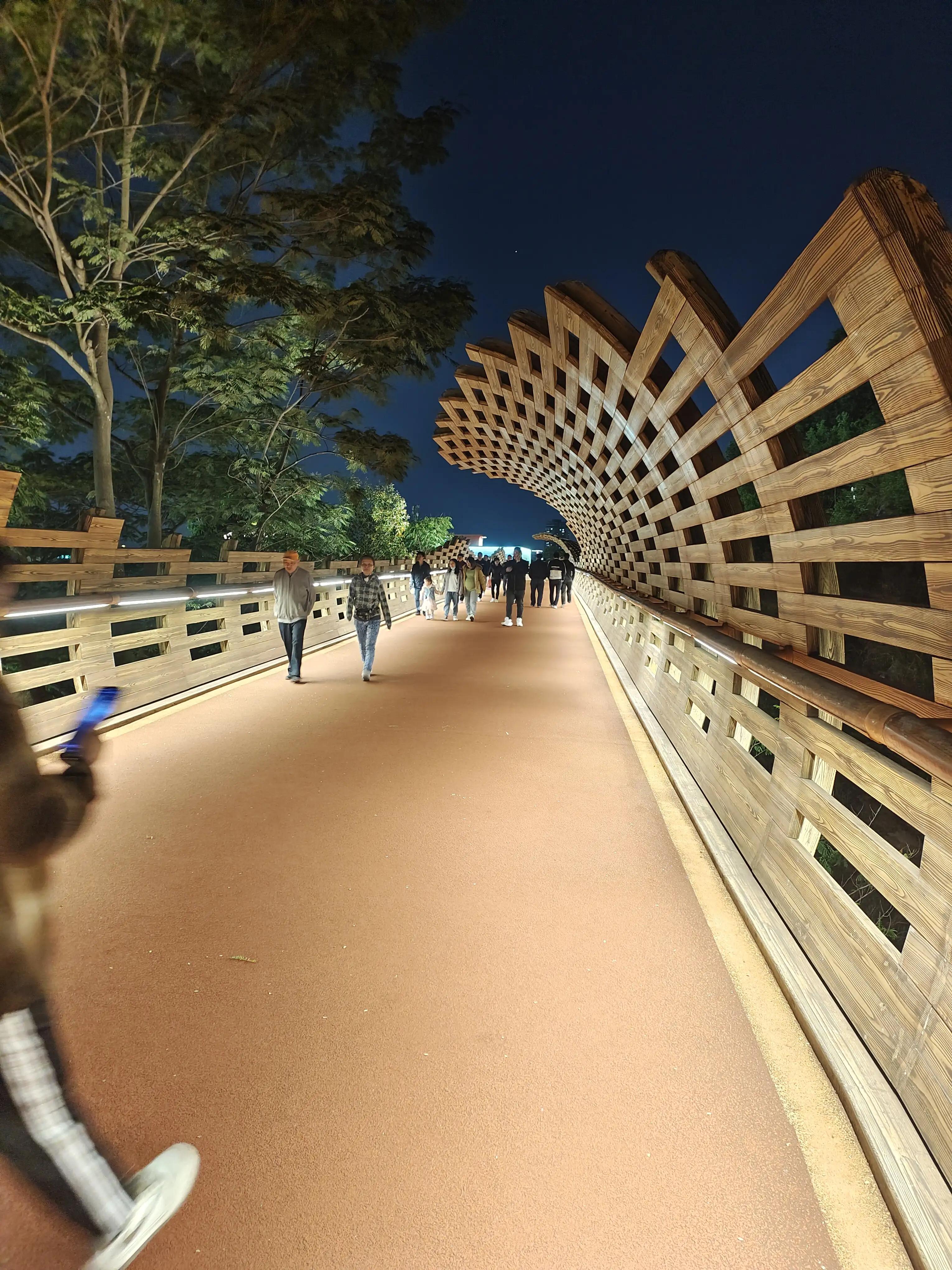 大运狂飙,兔年行大运好运常相伴