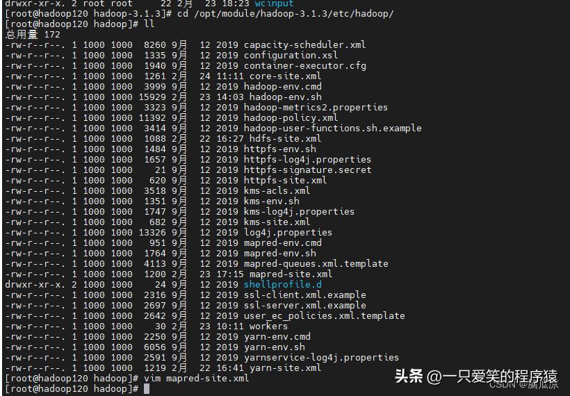 手动搭建hadoop集群005_历史服务器_日志聚集_动态管理_单独启停