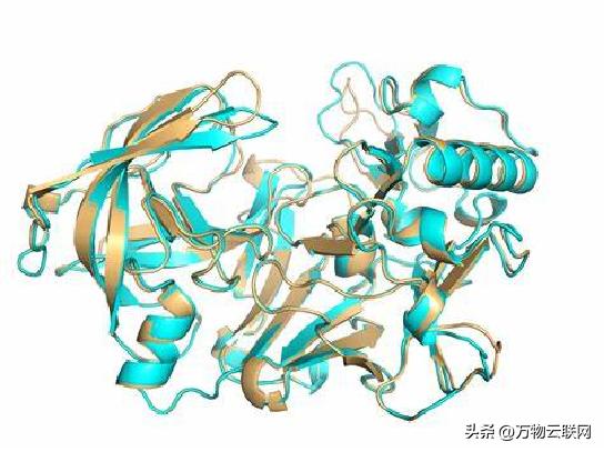 生物化学原理,生物化学入门教程