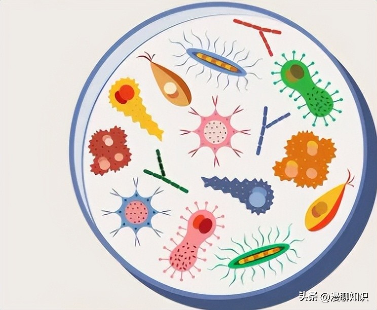 马疱疹病毒感染用什么治疗好,马病毒性疱疹