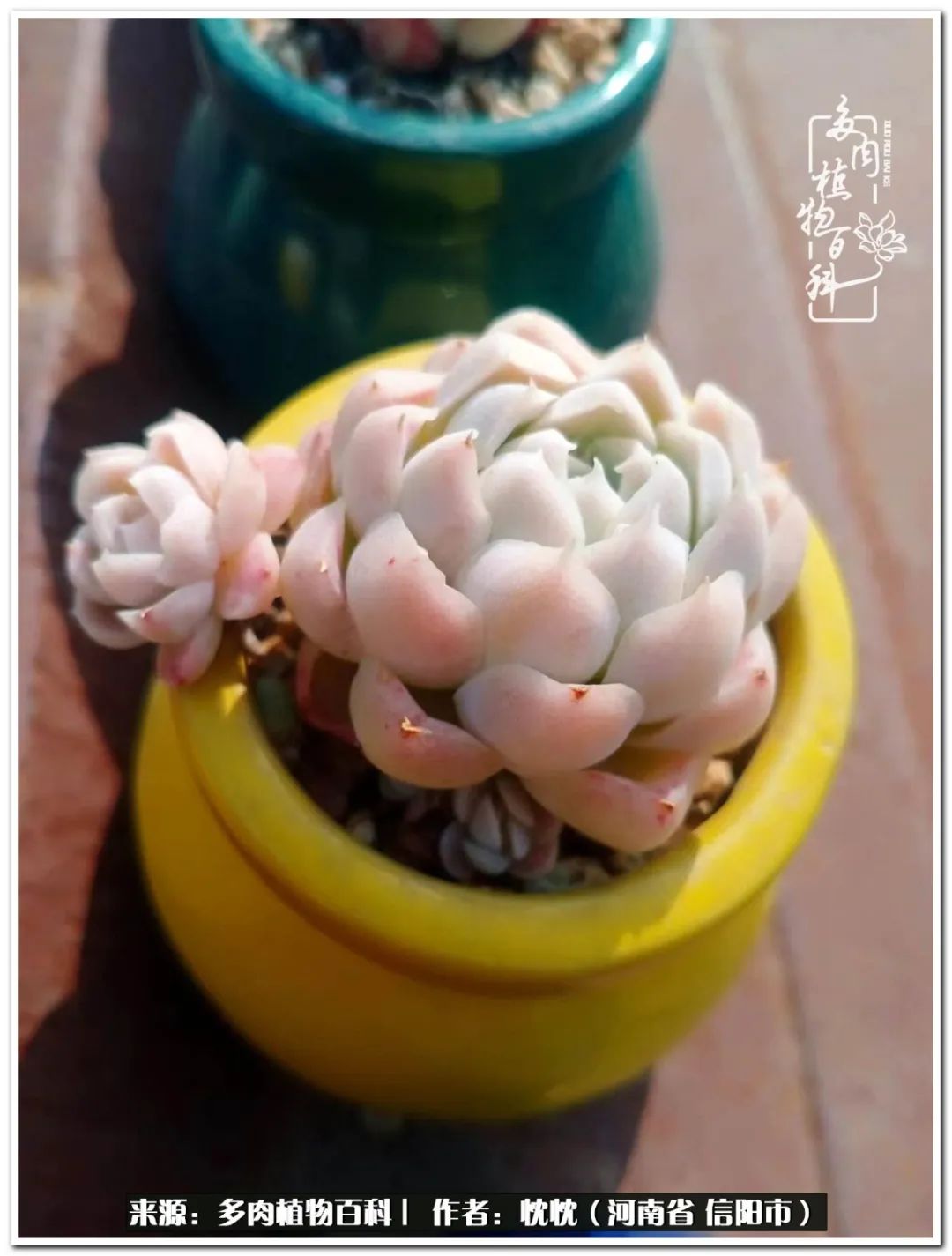 携一人白首择一城终老心之向往,携一人之手择一城终老图片