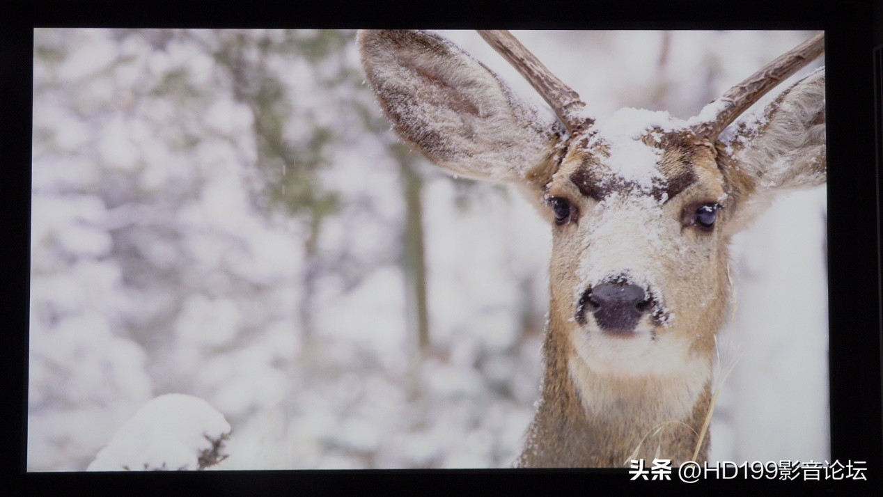 明基ht4550和W4000,明基ht4550对比tw700