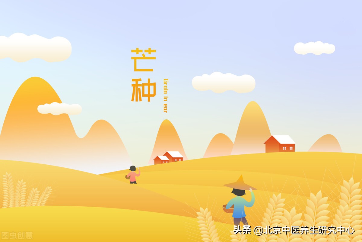 肠道养护,肠道护理的方法