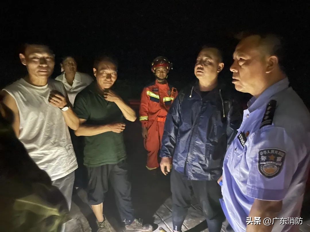 在深山老林捡菌子,夫妻深山捡菌子