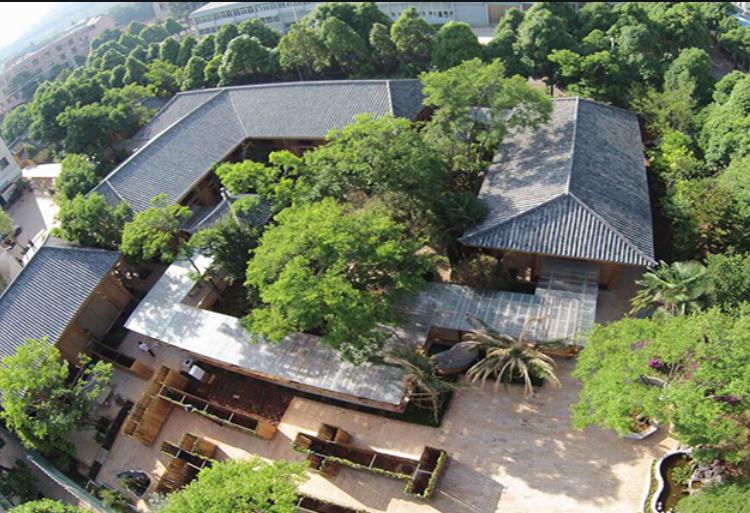 杀人蜂发家致富吗,养杀人蜂年入百万