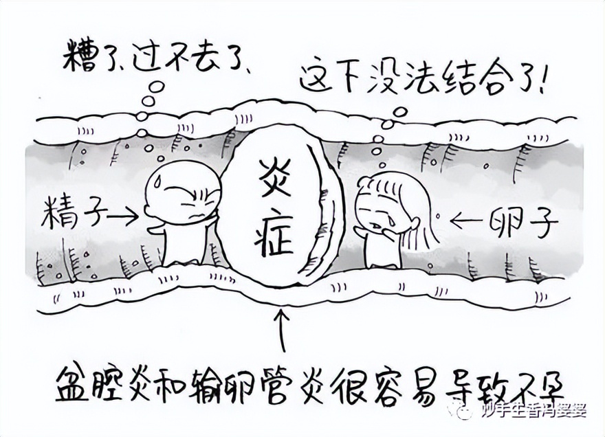 输卵管一边堵了一边切了怎么办,输卵管明明通了为啥又堵了