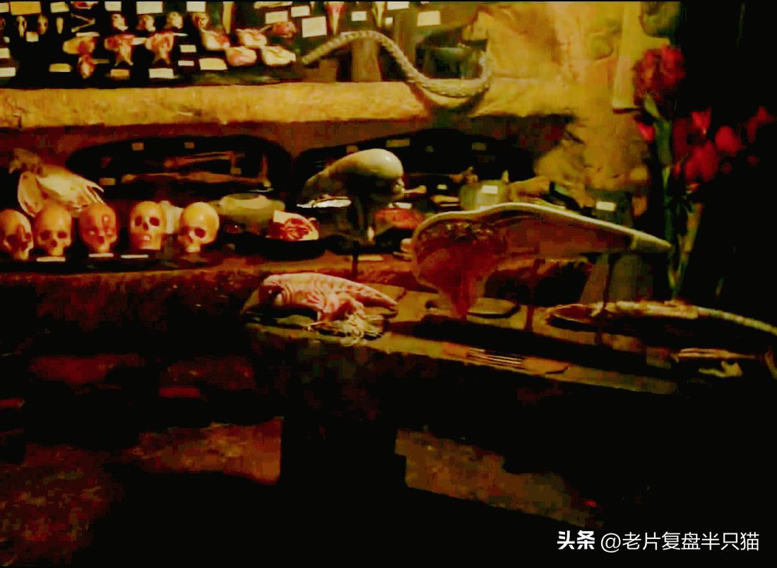 仿生人大卫的秘密,仿生机器人大卫