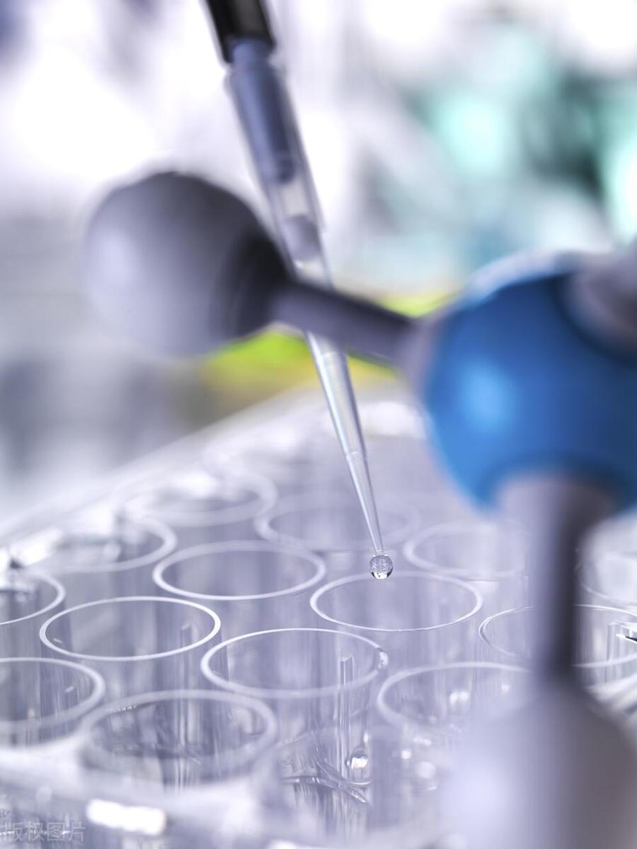 聚四氟乙烯的生产厂家排名,聚四氟乙烯粉末有哪些厂家