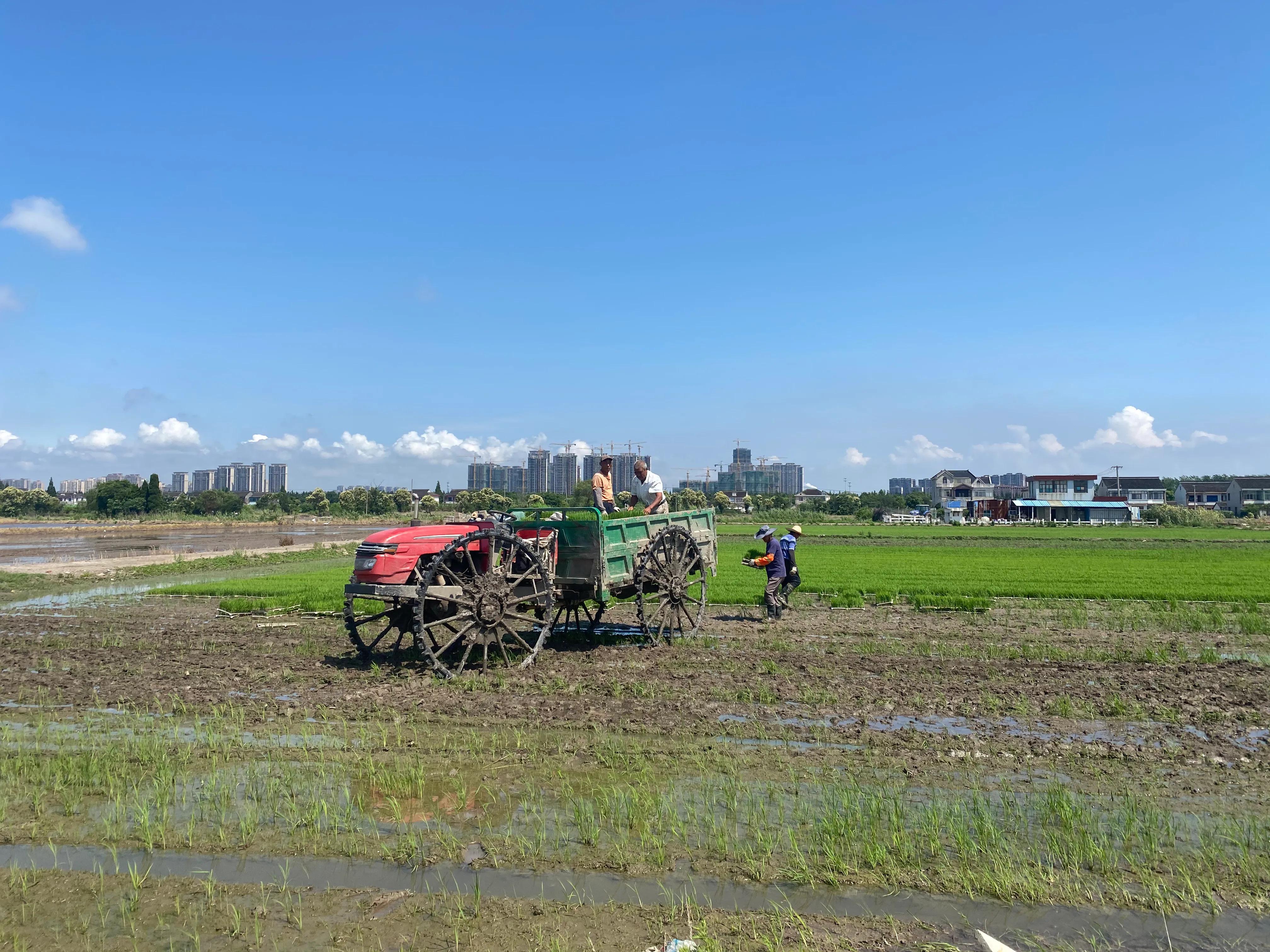 徒步318川藏线日记,徒步灵岩山日记