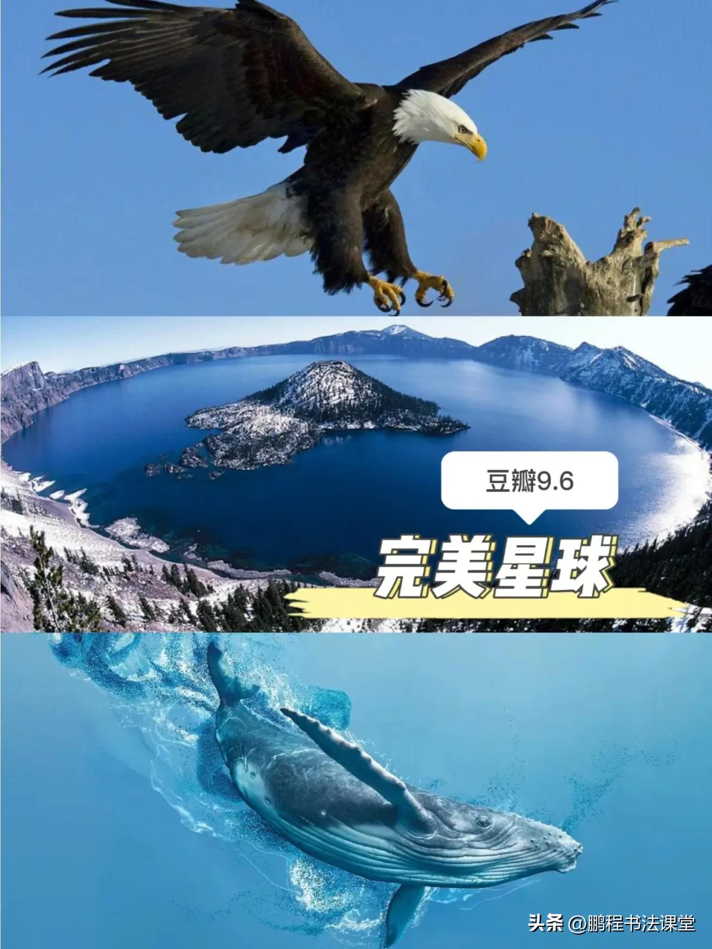 暑假看什么励志纪录片,暑假安排四张卷子看两部纪录片