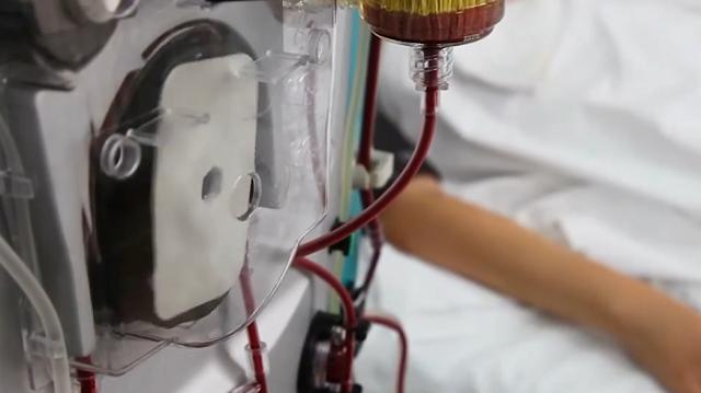 45岁美国富翁与儿子换血,美国亿万富翁48岁保养花200万美元