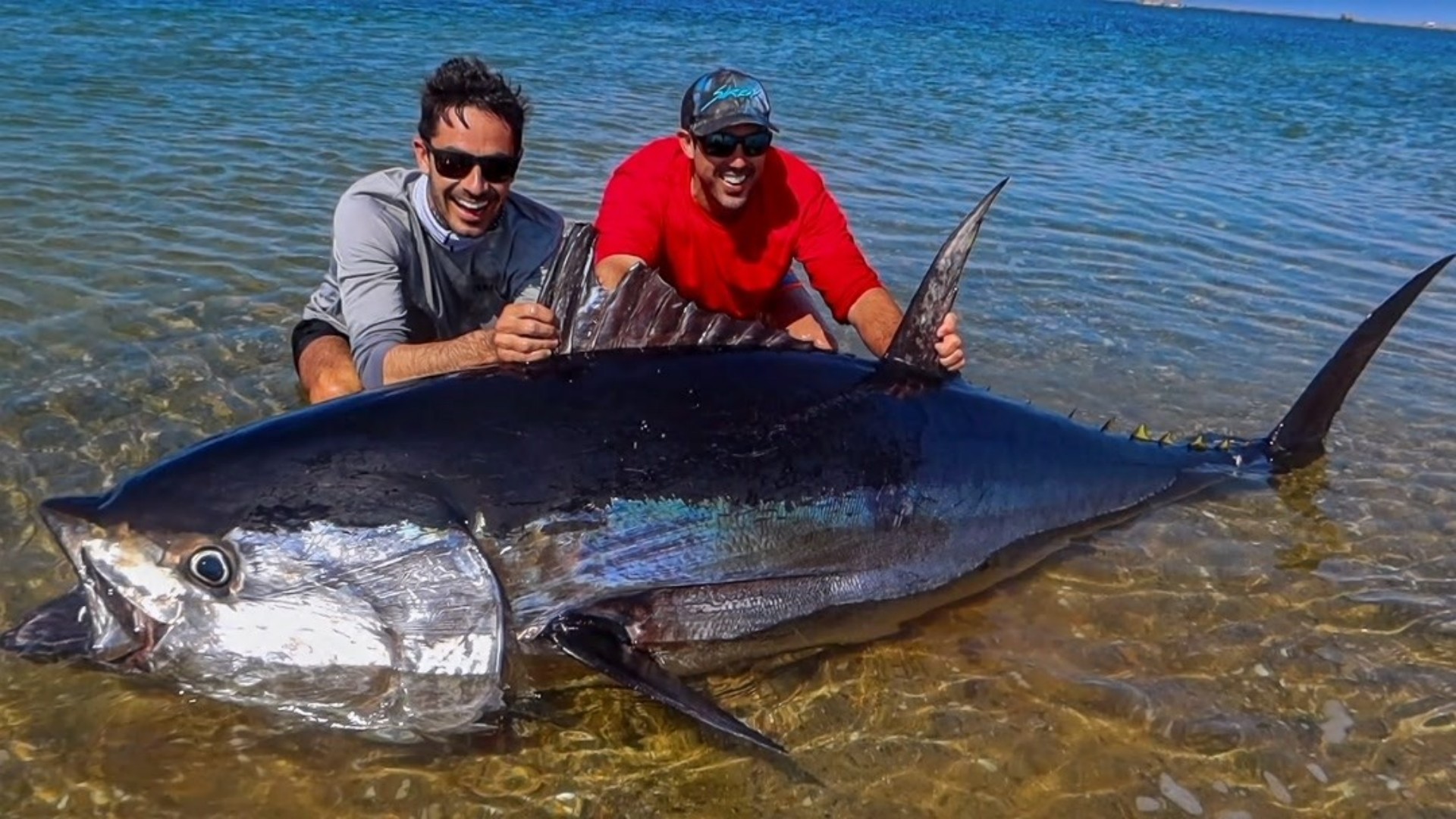 2021年非洲渔民捕到一条3.5米长巨鱼，卖出1910万，真是一本万利