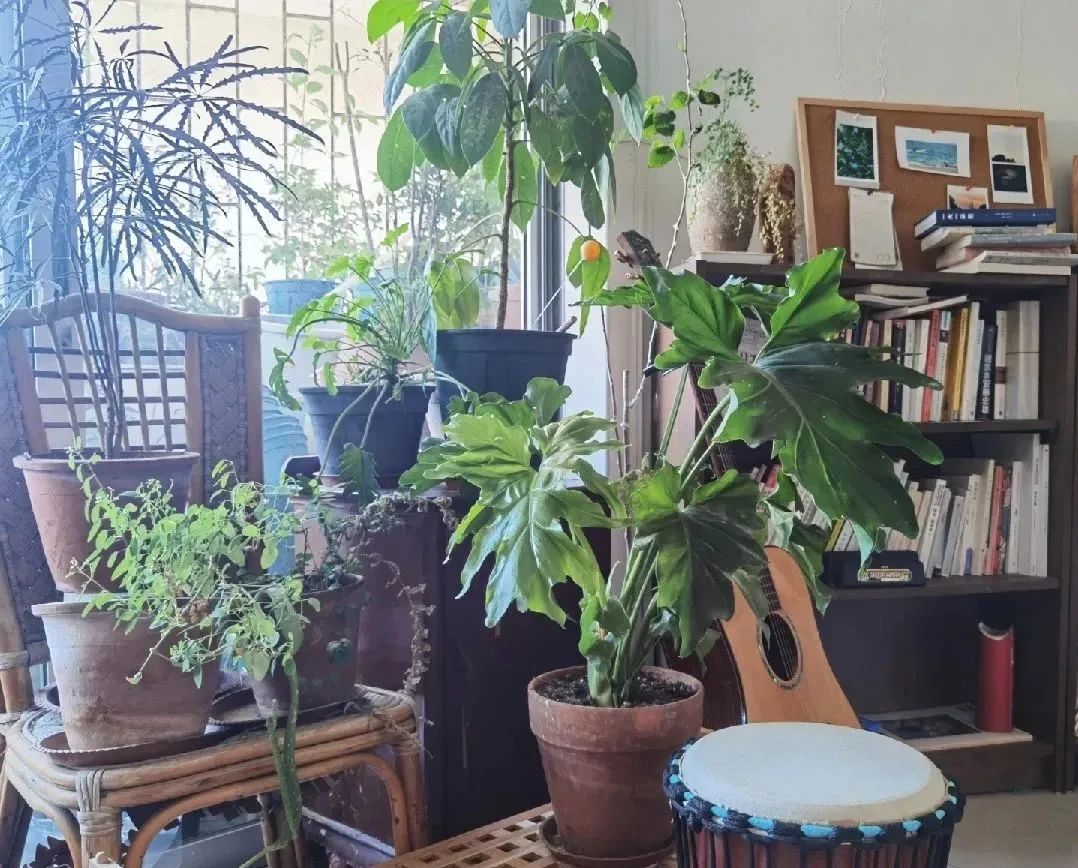 月薪过万捡垃圾,在深圳捡废品月入上万