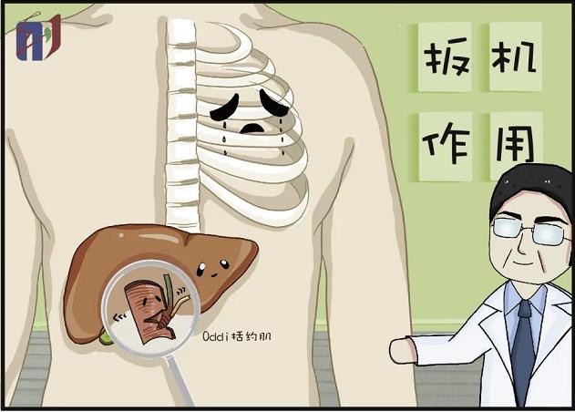 胆囊息肉手术后腹痛什么原因,胆囊结石切除手术后腹痛