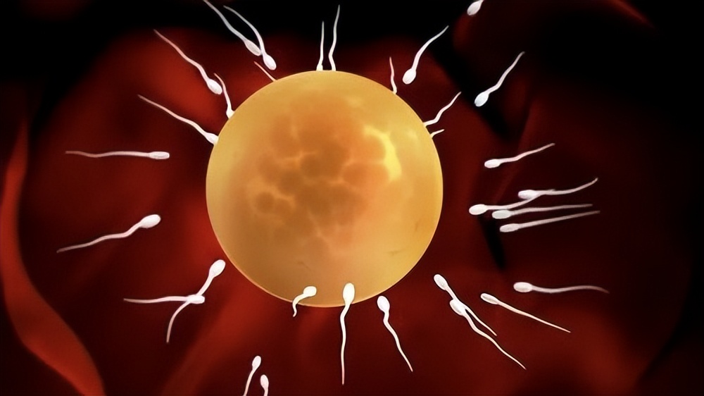 不孕不育检查前要做哪些准备,做不孕不育检查要提前做哪些准备