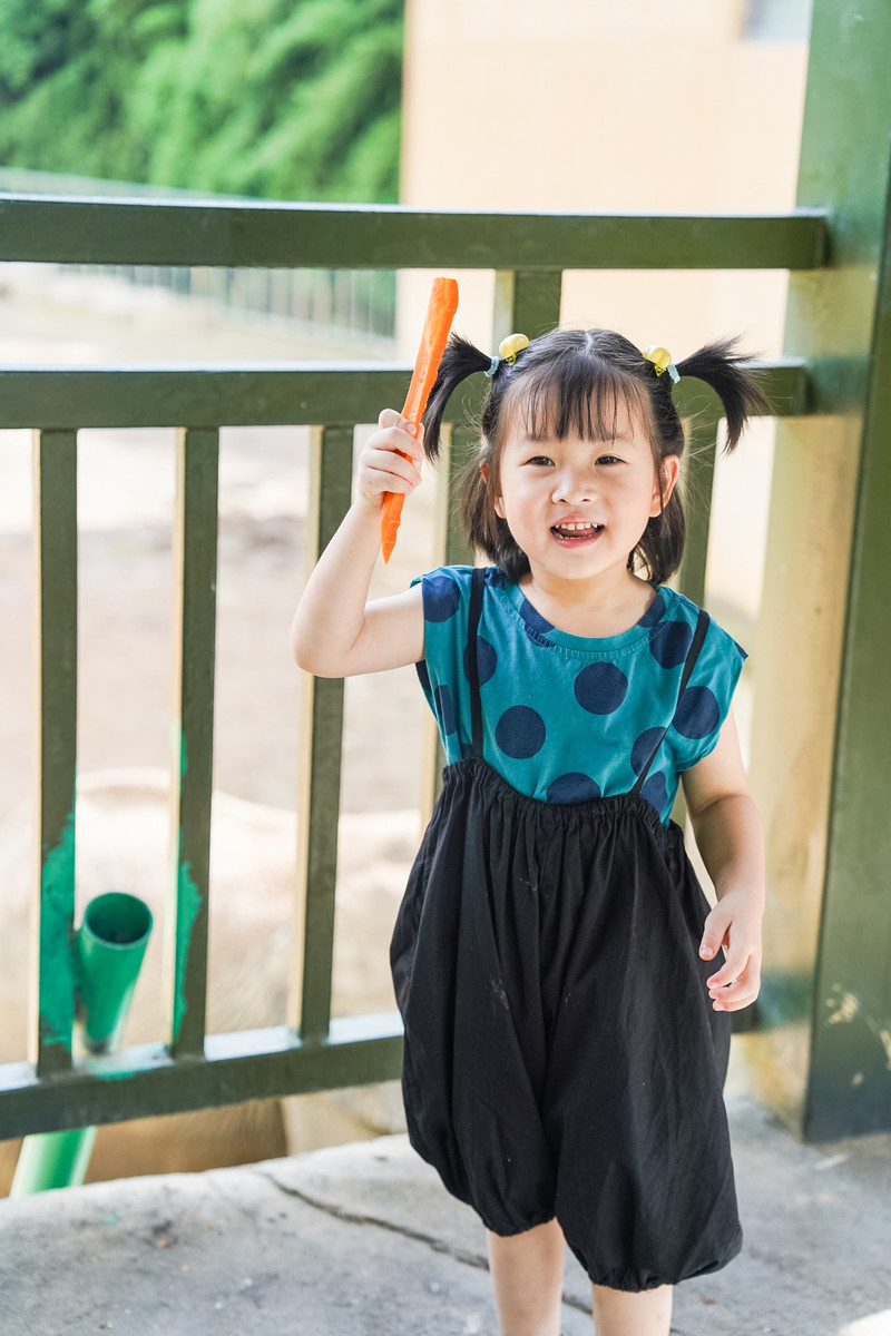 安吉中南百草园二天一夜攻略,安吉中南百草原刺激游乐项目