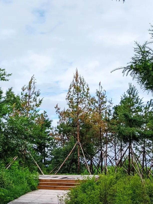 夏幽·嗨玩|全部免费！莲花山徒步宝藏地推荐！
