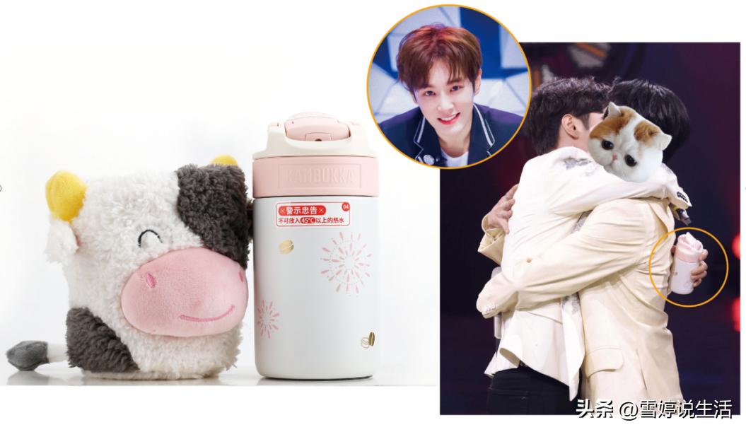 加入养生大军，全款拿下吴磊同款kambukka凯布克白色保温杯