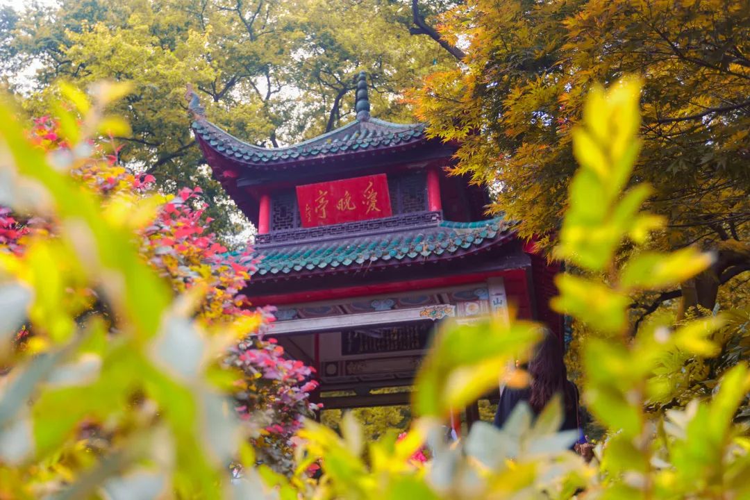 长沙周边好玩的地方景点免费,长沙周边游免费景点大全