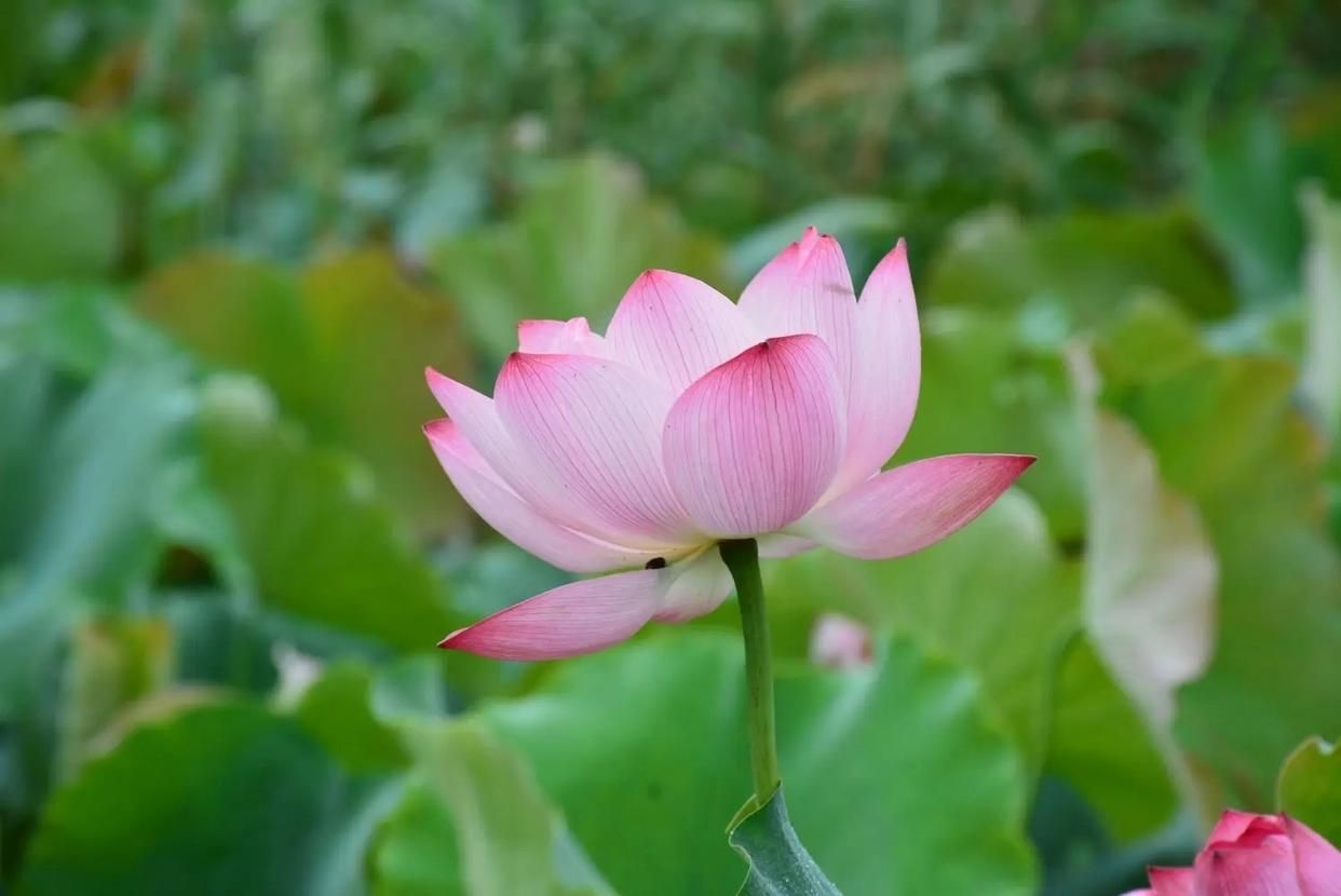 致2023年的自己的一段话励志,2023下半年写给自己的话