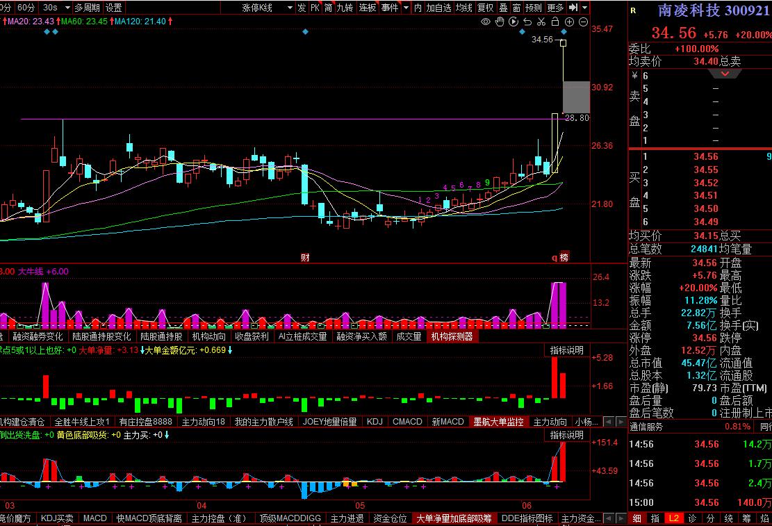 蕾奥规划股票预测,蕾奥规划股票走势