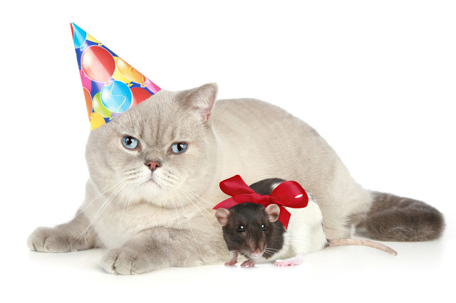 十大动漫逆天修仙,日本十大动漫排名