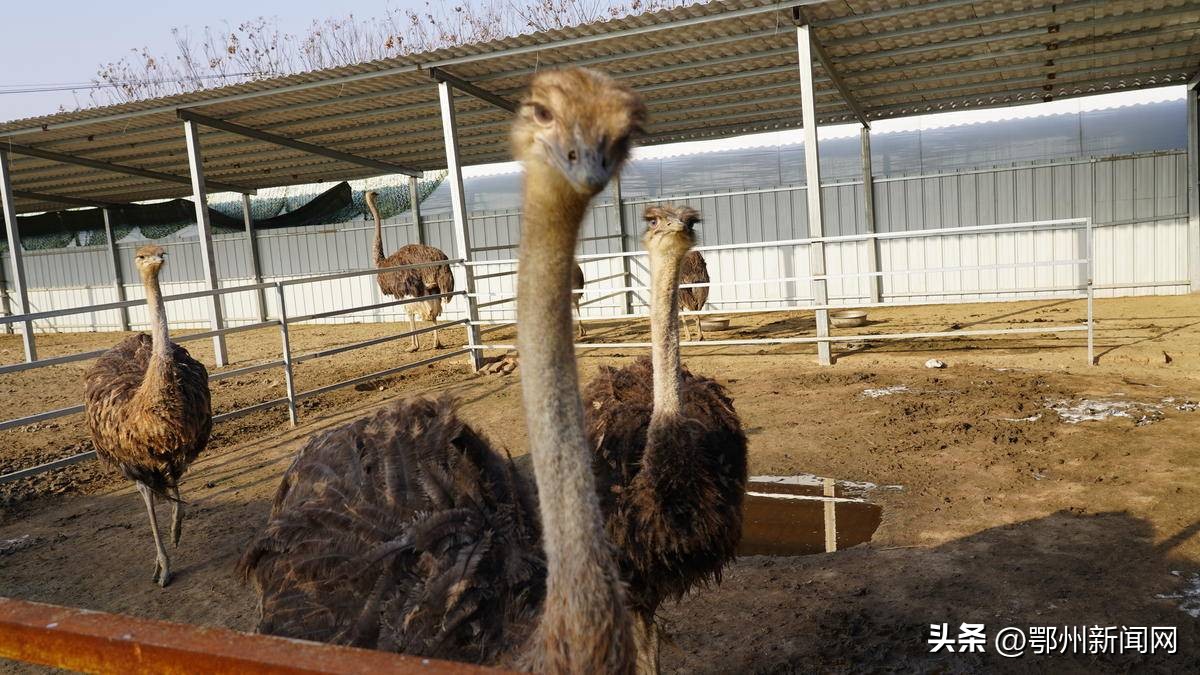 深耕农村沃土激扬梦想,深耕为民沃土赋能乡村振兴