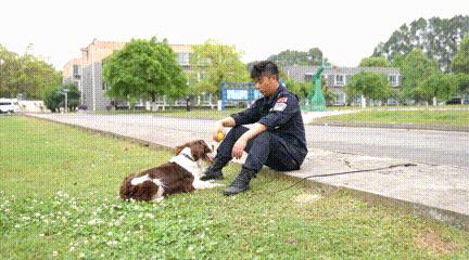 阿尔法日记美白乳,阿尔法的日记